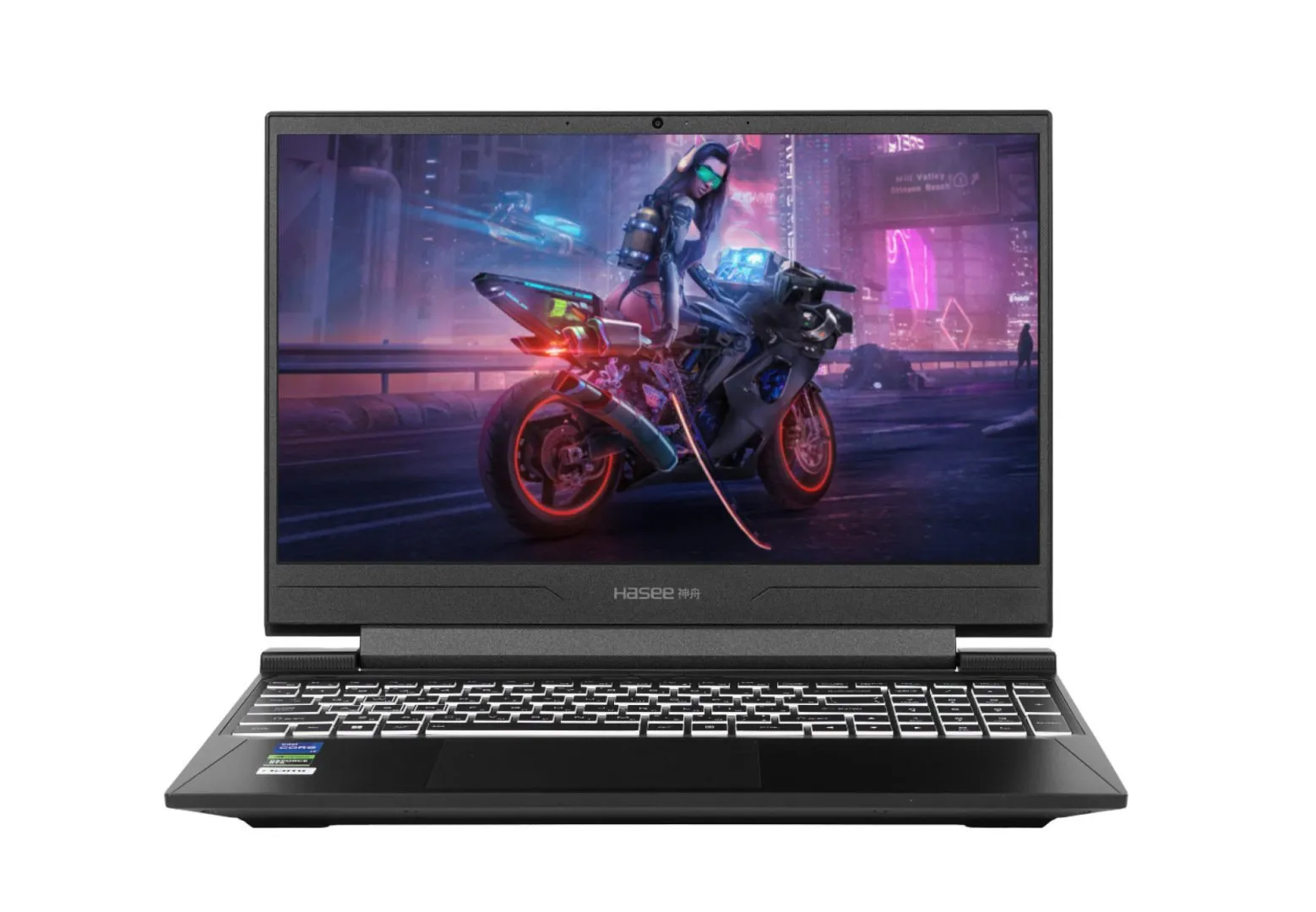 Ноутбук Hasee S8-QNLXS04