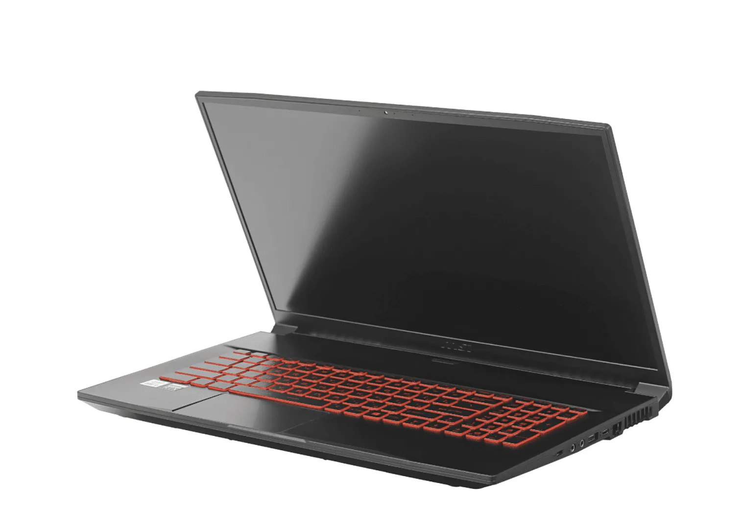 Ноутбук MSI GF75 Thin 10UD