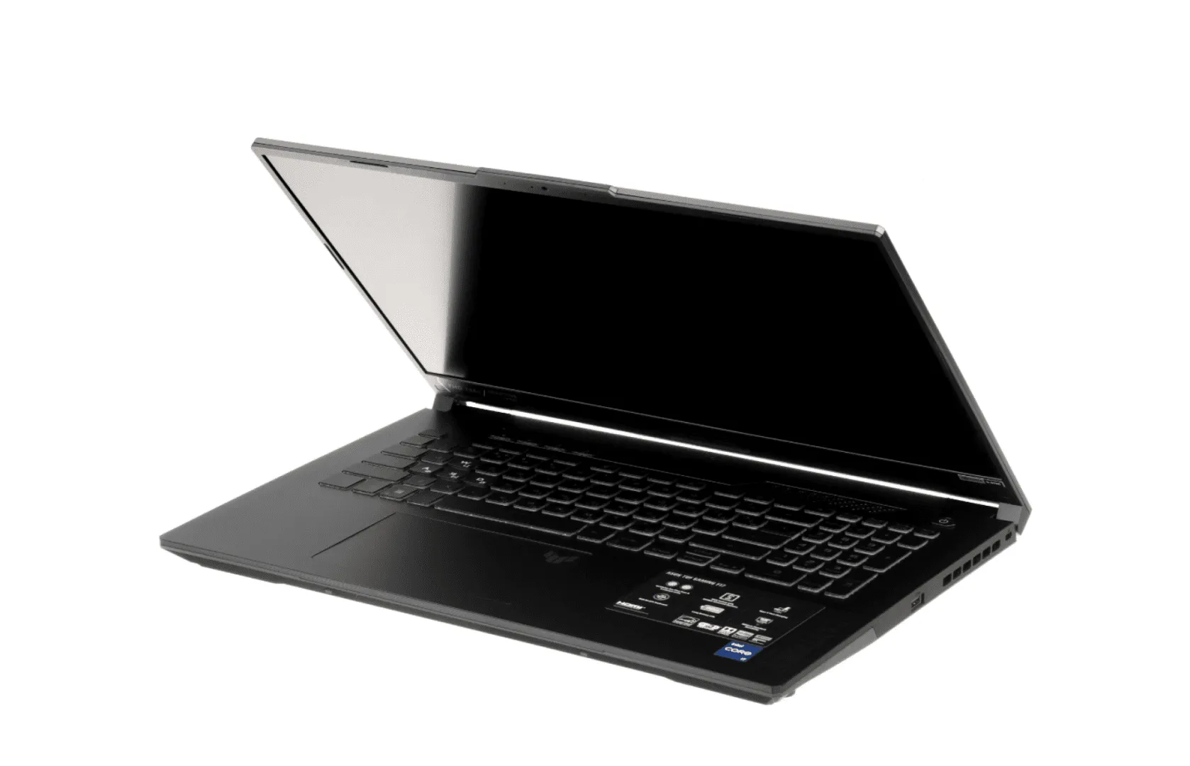 Ноутбук Asus FX707VV