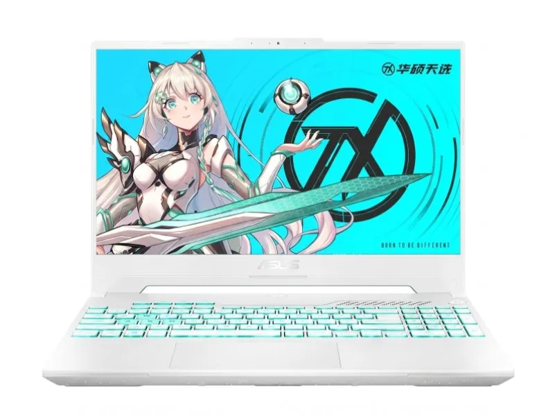 Ноутбук Asus TUF FA507NV - фото товара