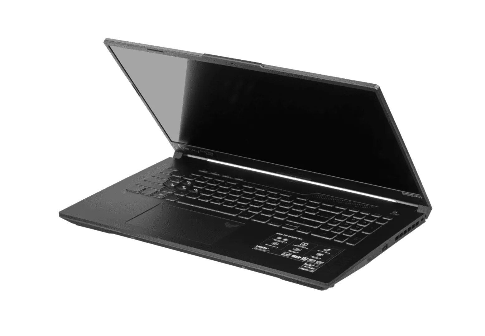 Ноутбук Asus FA707NUG